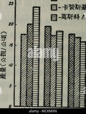 代理手游加盟選擇與《百球大師H5》計算機技術培訓解析